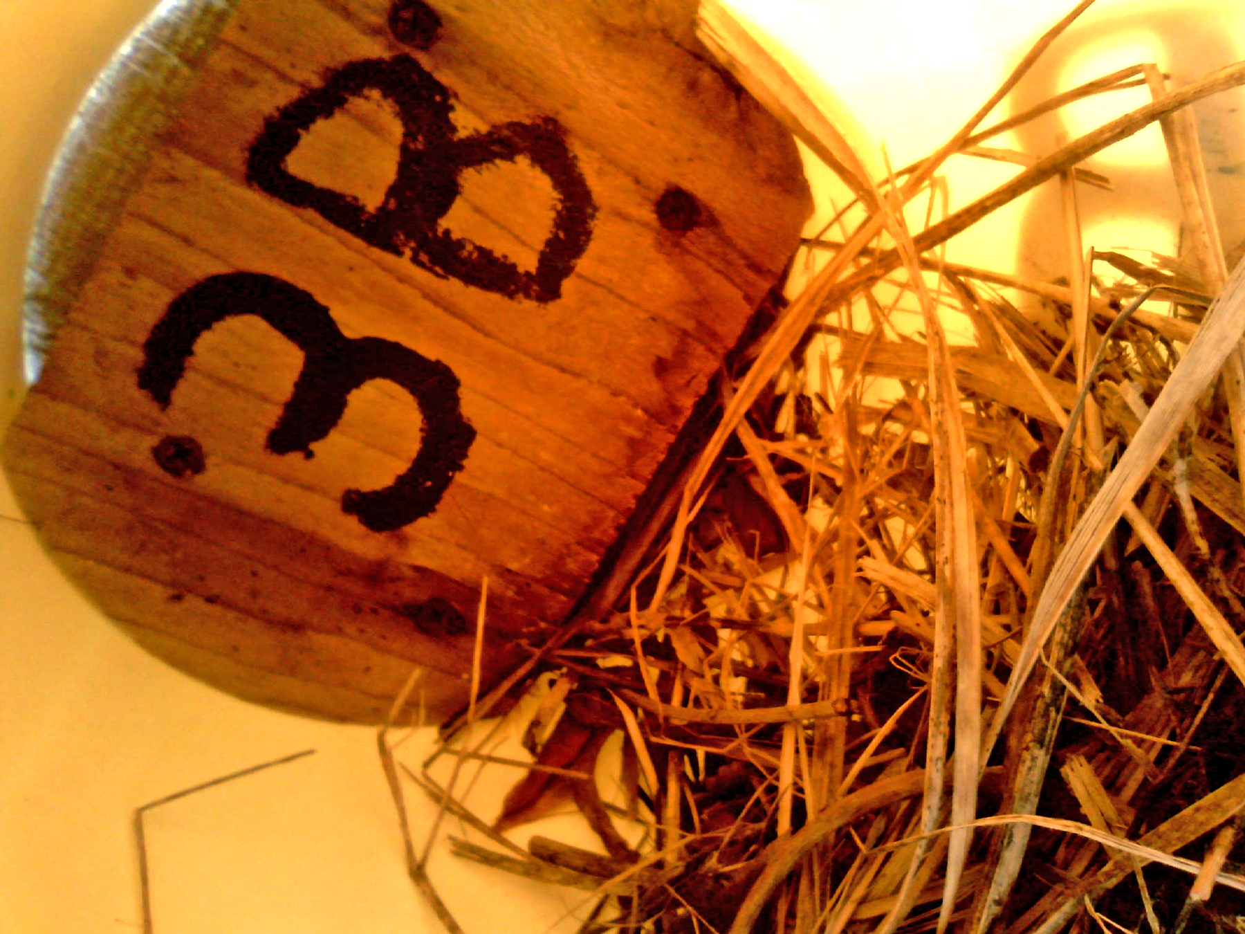 OPAS 3B
